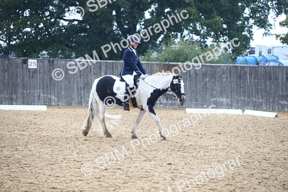 SBM_42794 - D21 - Junior Championship Intro 1