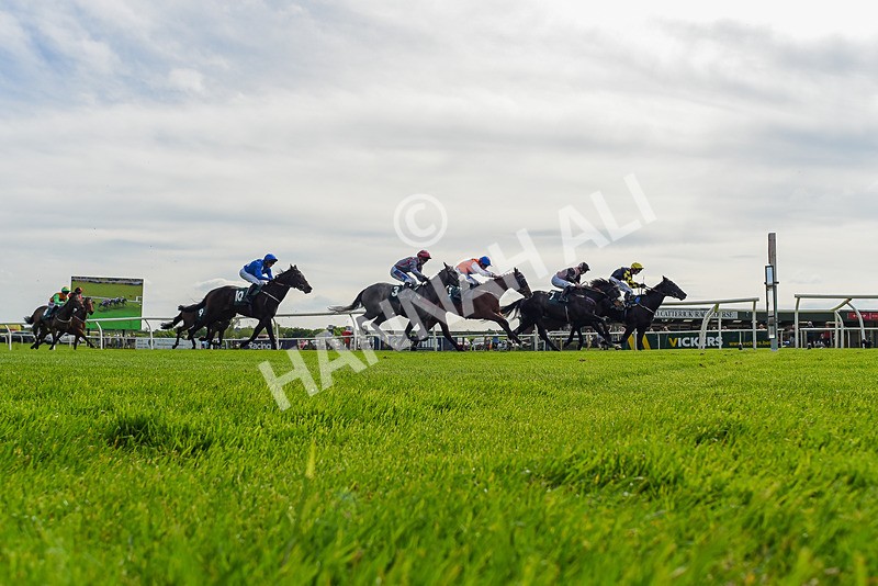 130524-Race 4-Keldeo-9426 - Race 4