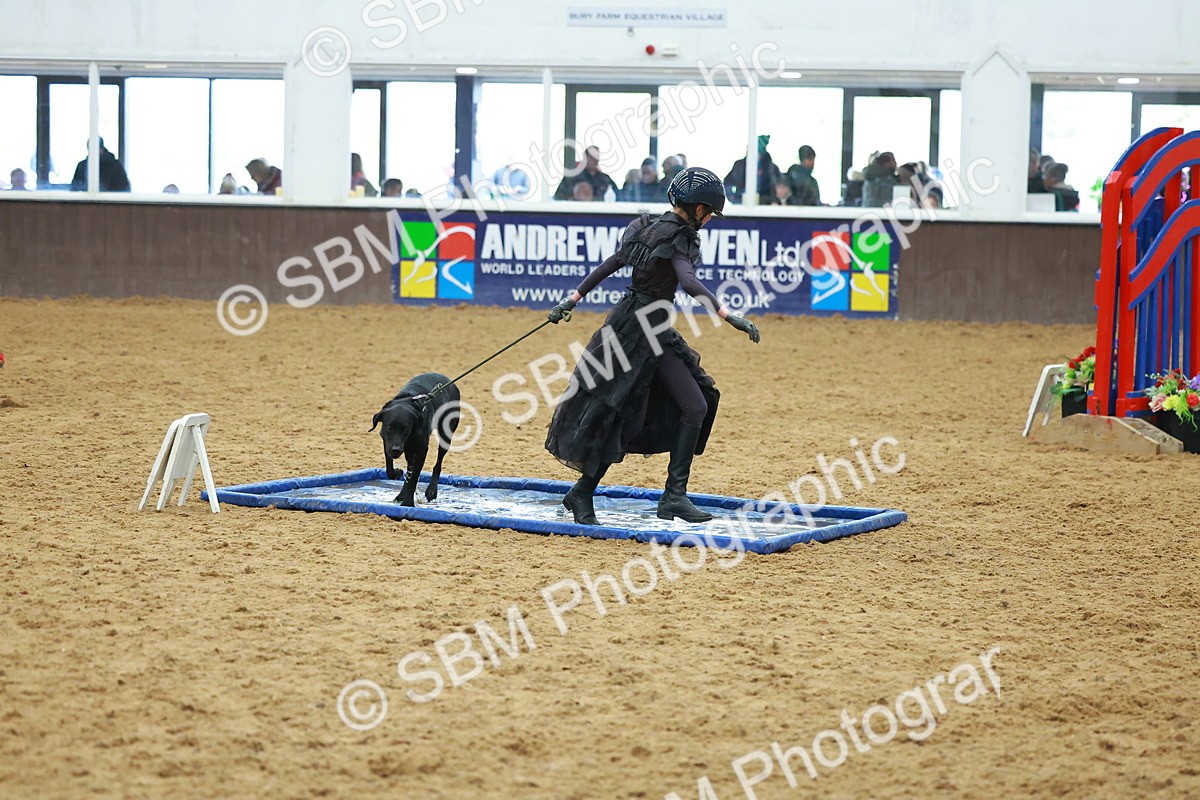SBM_002595 - Class 3 - Horse & Hound (60cm)