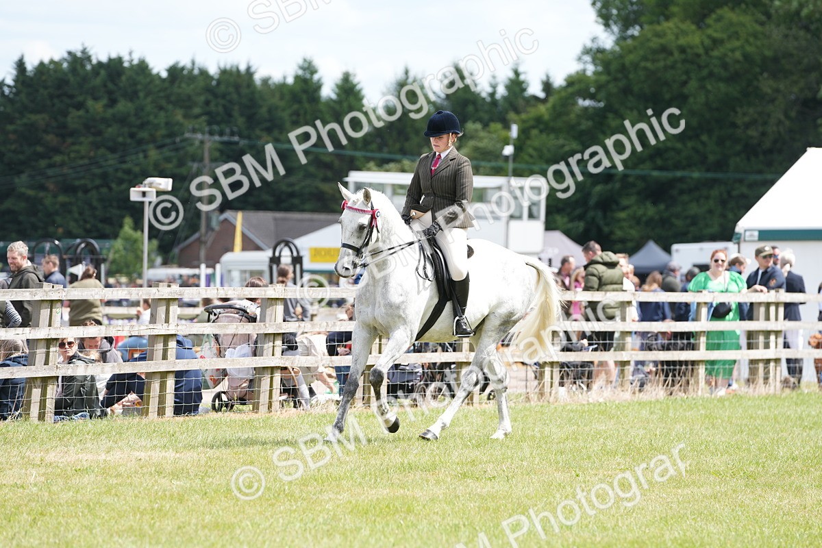 SBM_16171 - Class 105-106 - RIHS Riding Horses