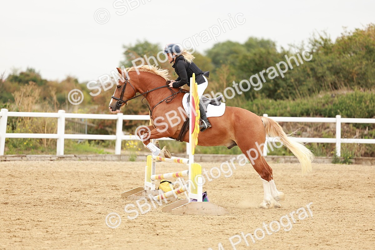 SBM_008353 - Class 5 - 80cm