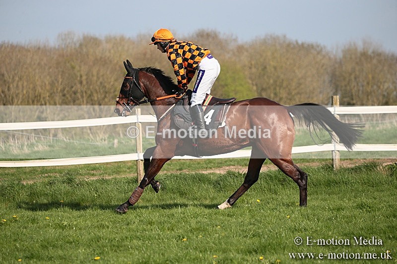 PtP 210418 486 - South & West Wilts Point-to-Point Larkhill 21/04/18