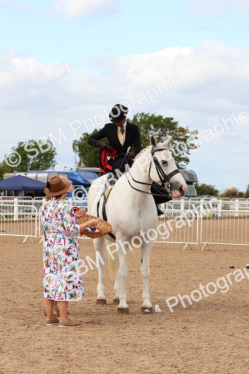 SBM_15913 - Class 216 - Best Side Saddle Horse-Pony