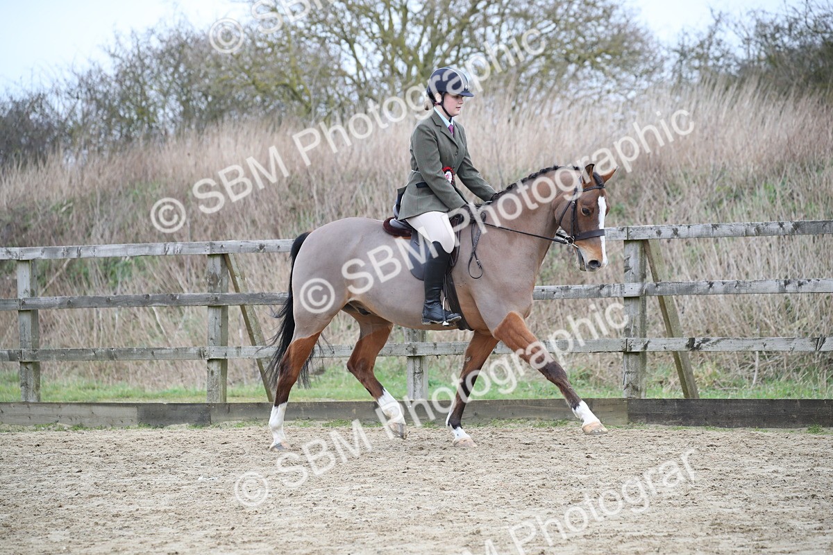 SBM_004786 - Class 5-9 - NPS In Hand-Show Hunter-Intermediate Ridden Inc Ridden Championship