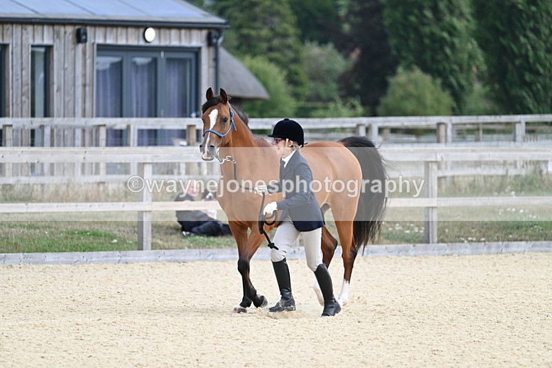 WJ7_1856 - In Hand