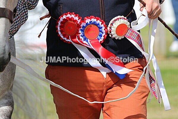 SIAL5192 - overall champion