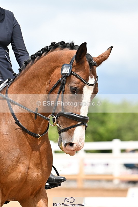 240622A-120421-08741 - Cls 3 Prelim 12