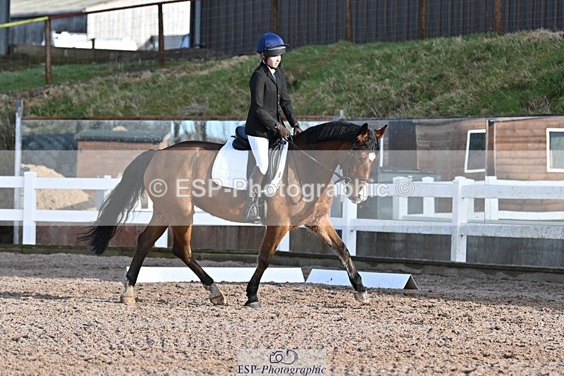 250125-104050-00212 - Dressage - CT Class 4 BE95 (80cm)