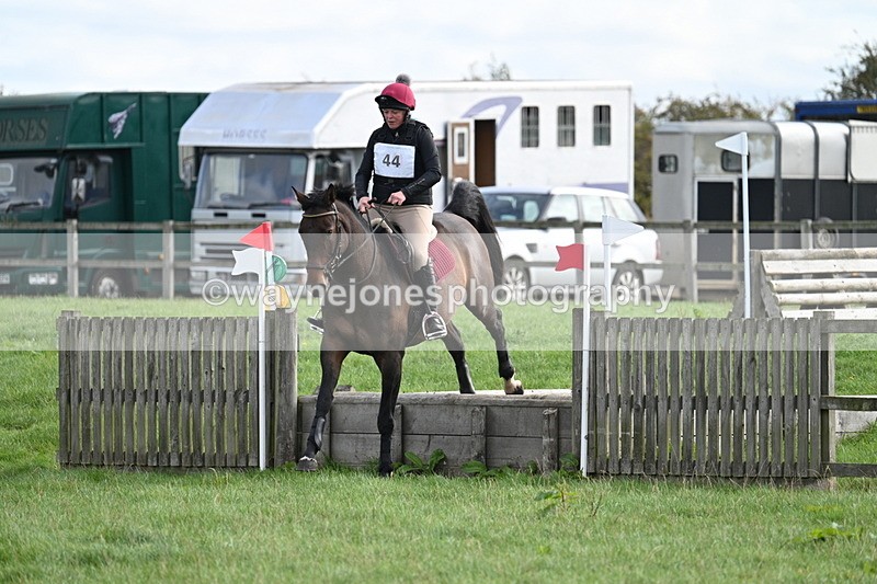 WJ7_8333 - 60cm Pairs