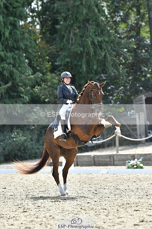 260802A-152152-07372 - Intermediate Bronze