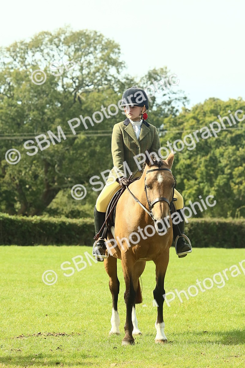 SBM_68934 - S58 - Mini Show Cob Ridden