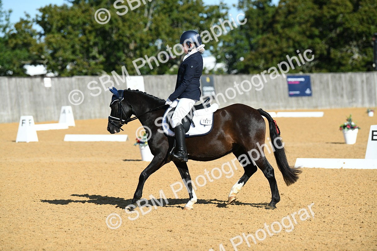 SBM_16320 - D4 - Small Tour Championship - Intro B