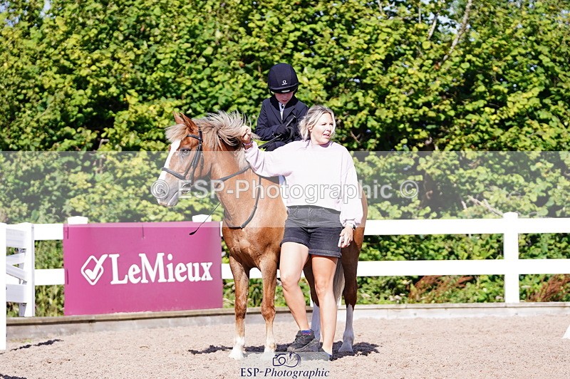 240809A-091524-00193 - Dressage Competition