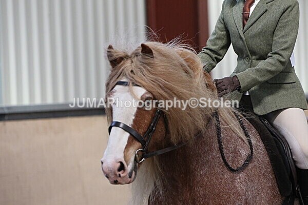 SIAL1923 - Indoor Classes