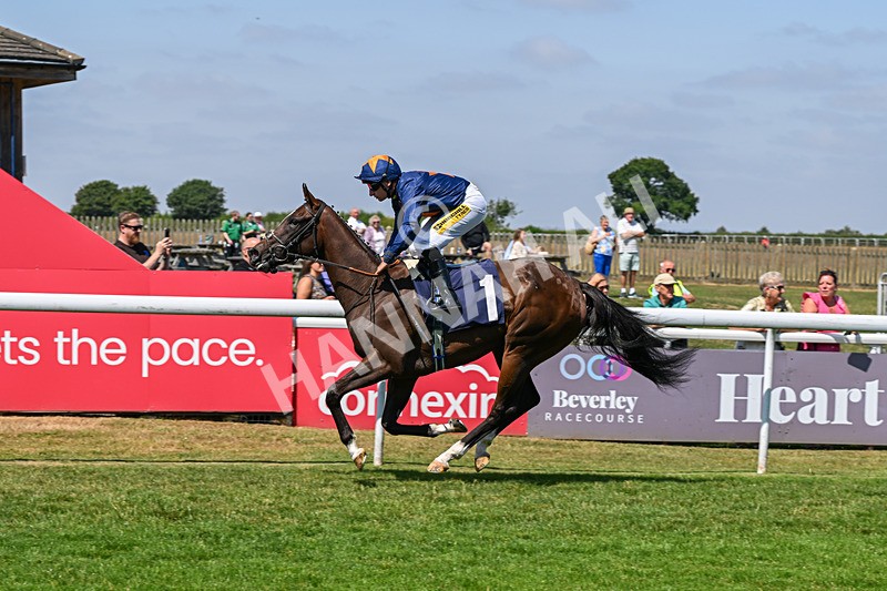 140726-Race 1-Fast Track-9295 - Race 1 14.17pm EBF Fillies' Novice Stakes