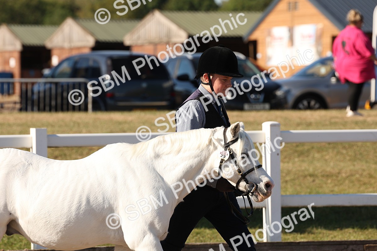 SBM_11714 - Class 204 - Young Handler 11 to 16 years