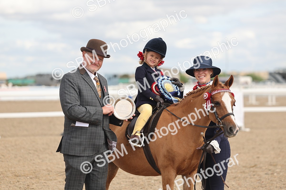 SBM_15827 - Class 309 - Lead Rein Pony