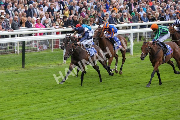 220824-Race 1-Celandine-7603 - Race 1 1.50pm Sky Bet Lowther Stakes