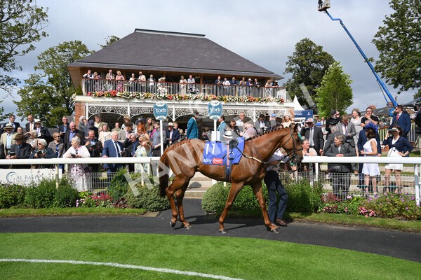 yr18082021r1-3 - Race 1 1.50pm Sky Bet & Symphony Group Stakes