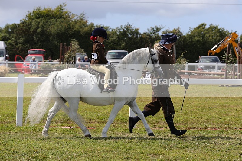 1X9A5072 - Class 36: NPS M&M Lead Rein