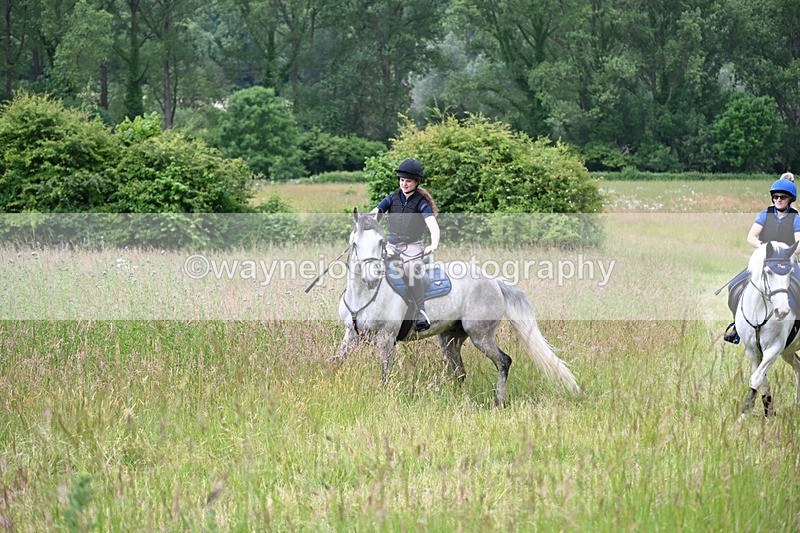 WJ6_7948 - Camera 1 Gallops