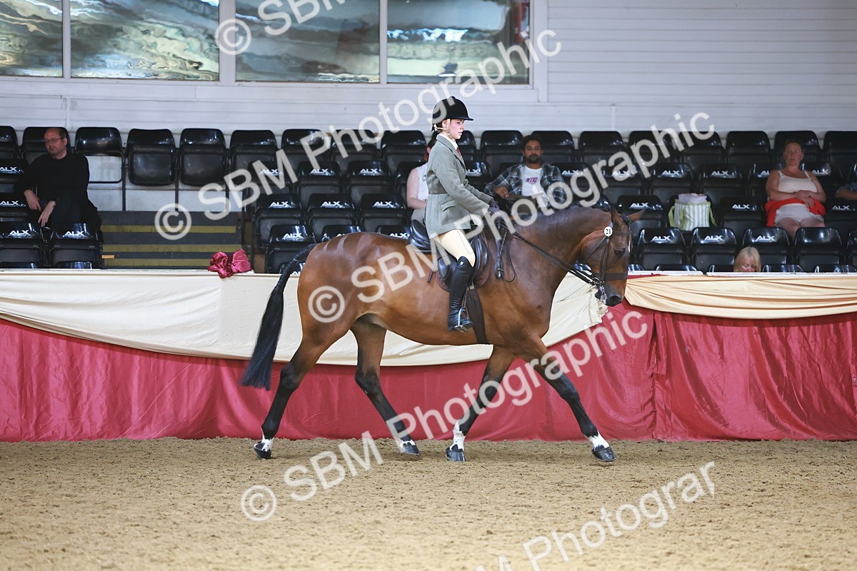SBM_24000 - Class 905 - Supreme Final - Ridden Veteran