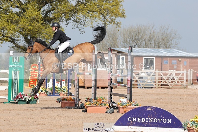 250424-102935-03050 - Cls 33 Young Horse 7yr old