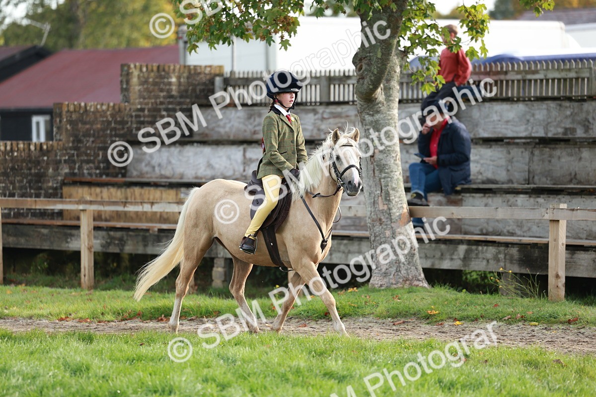 SBM_56321 - S39 - Starters In Hand Showing