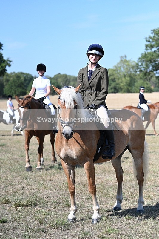 WJ7_1261 - Class 41 Prettiest Mare