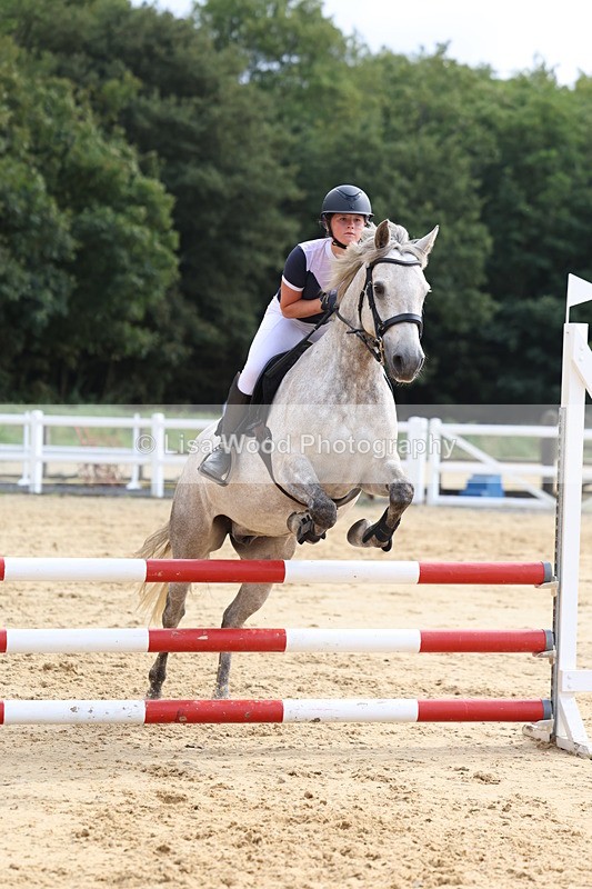 3E7A2446 - Class 13: Pony British Novice/80cm open