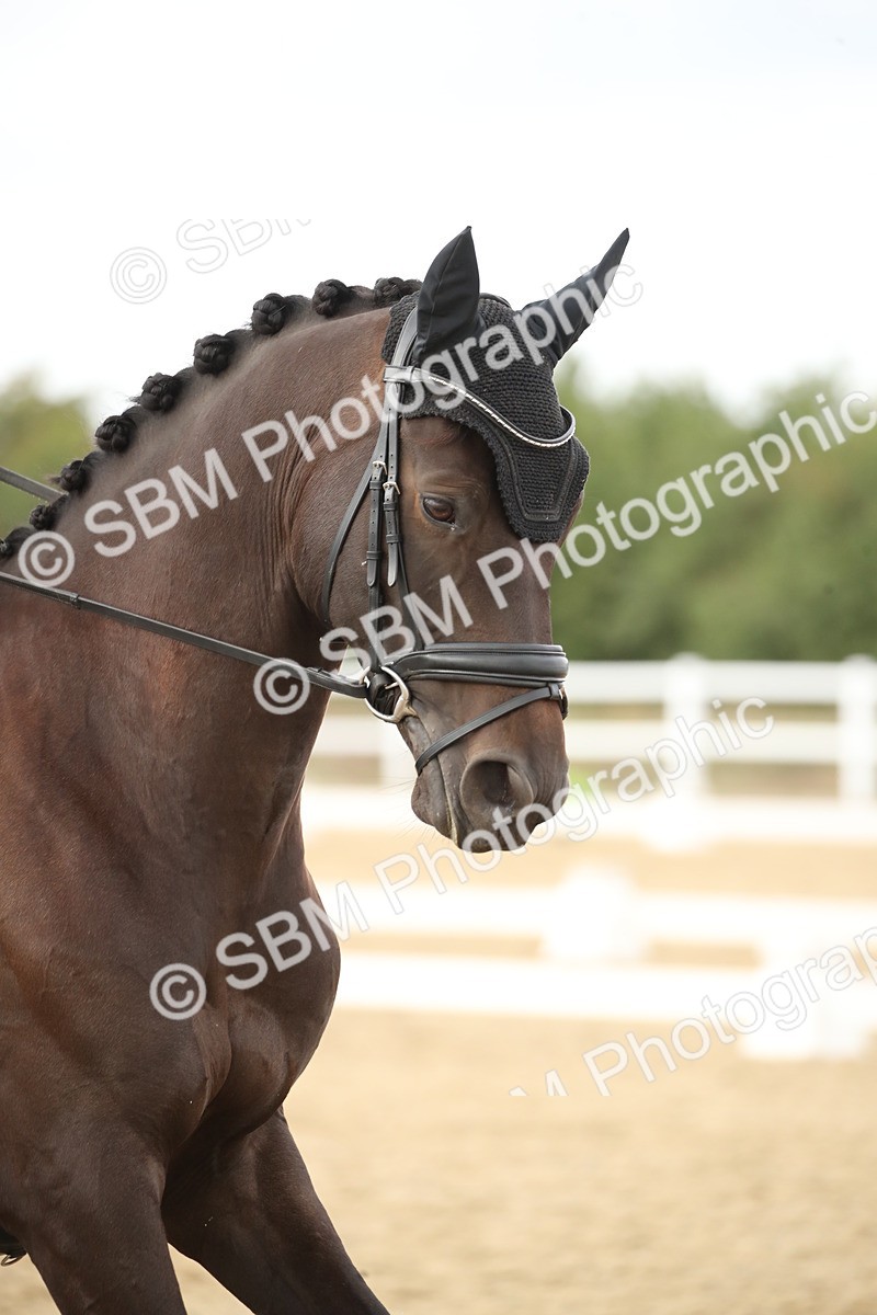 SBM_003031 - Class 6 - Elementary 5 - 14.50-15.46