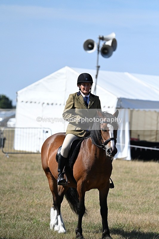 WJ7_3625 - Class 9 Mountain & Moorland Ridden