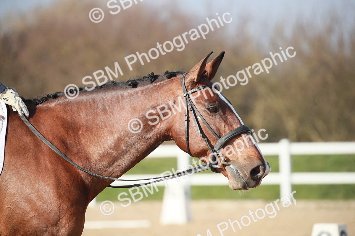 SBM_008672 - Class 24 - Advanced medium 5