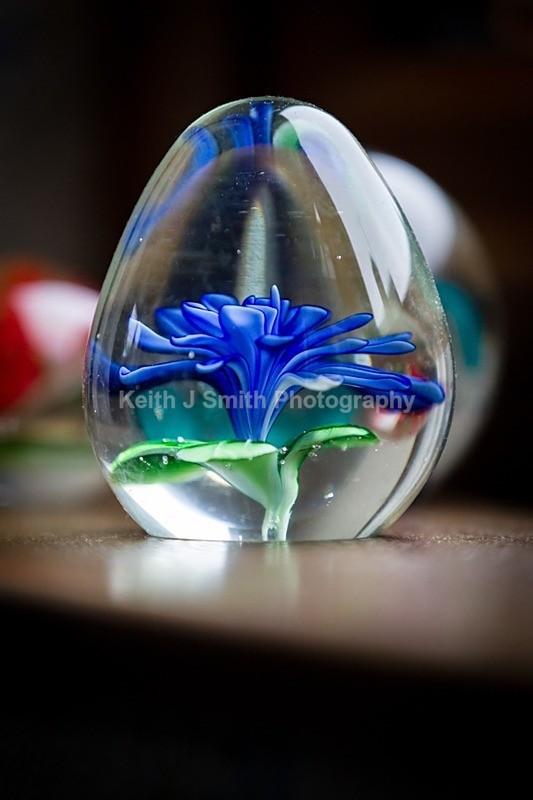 0KJS2062 - Studio Still Life