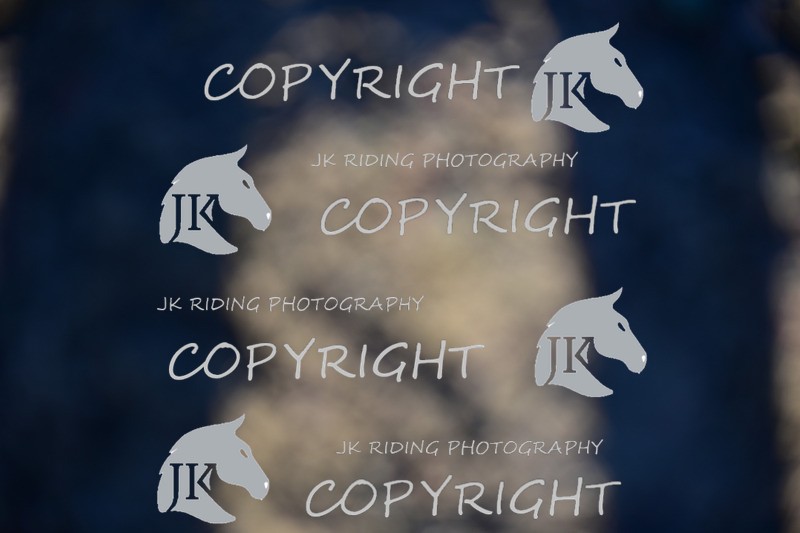 SBP_0966 - 10am - 11am