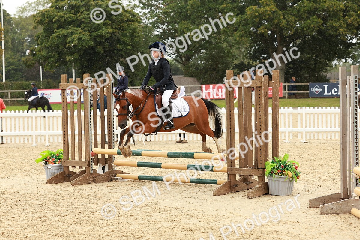 SBM_69205 - J13 - Junior Pony 60cm Championship