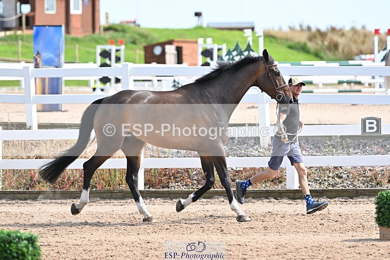 240717A-155403-03161 - Trot Up 3pm to 4pm