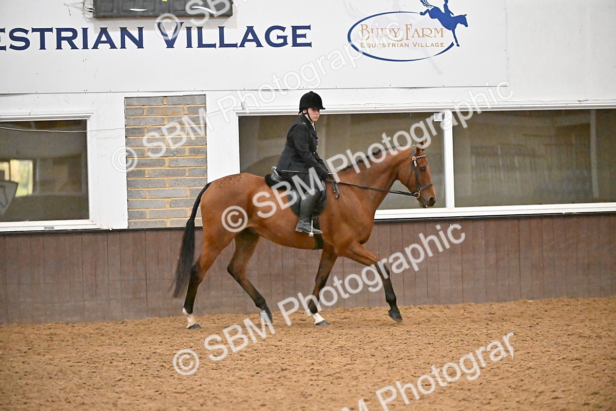 SBM_002999 - Class 37,38 - UKPSAF Performance Horse & Pony