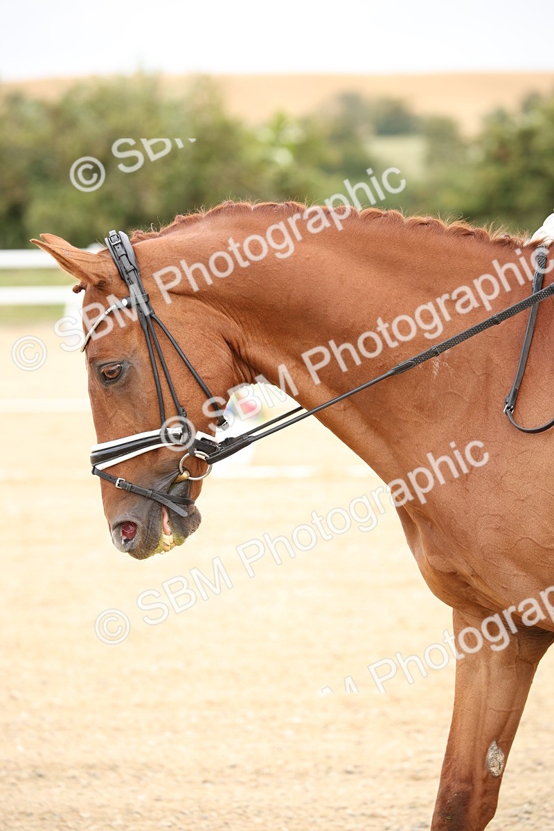 SBM_020009 - Class 25 - PSG Bronze