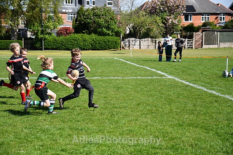  - Selby Rugby Festival 2025