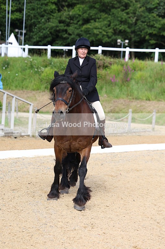 3E7A1383 - Class 1: Intro 2 2024 Section A