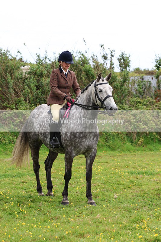 3E7A1384 - Class 7: Ridden Hunter Type