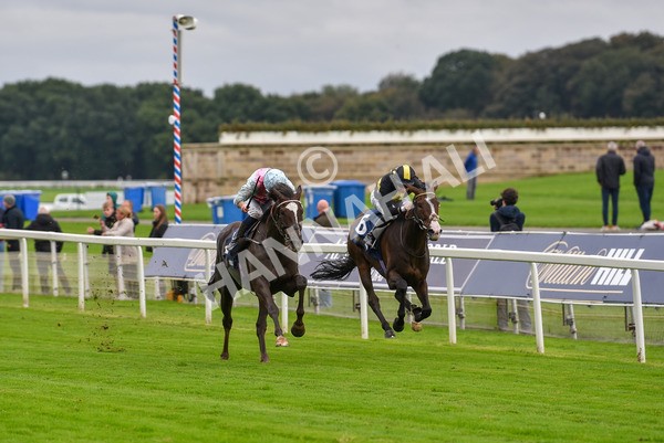 131023-Race 2-Lordship-9187 - Race 2 2.40pm William Hill Finale Handicap