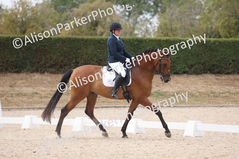 20260816-1454 - Class 6 - Elementary 6