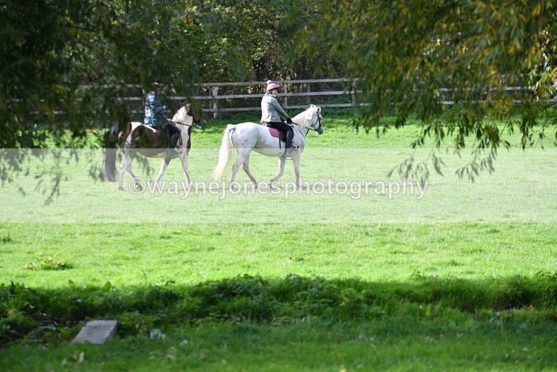 WJ5_7978 - Time 10:31 to 12:01