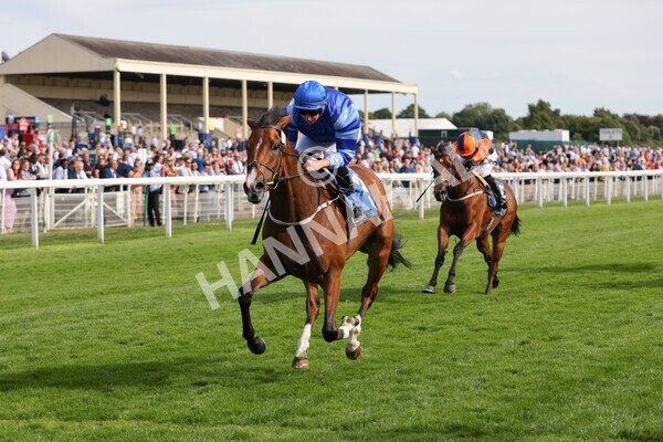 yr08072022r7-16 - Race 7 5.30pm Jigsaw Sports Branding Handicap