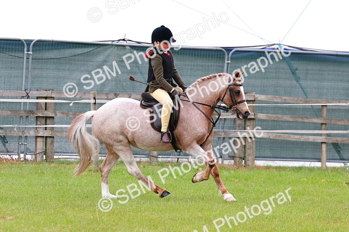 SBM_09422 - Class 44-45 - LIHS BSPS Open Nursery and Cradle Stakes