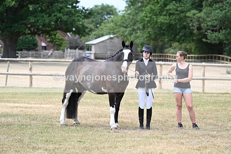 WJ7_1865 - Class 4a Prettiest Mare 14.2hh and over hand