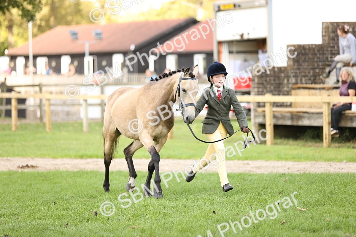 SBM_26264 - S5 - Novice & Newcomers In Hand