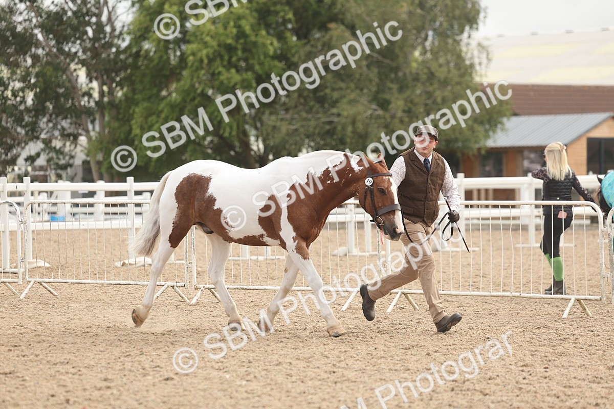 SBM_02086 - Class 15 - IH Coloured